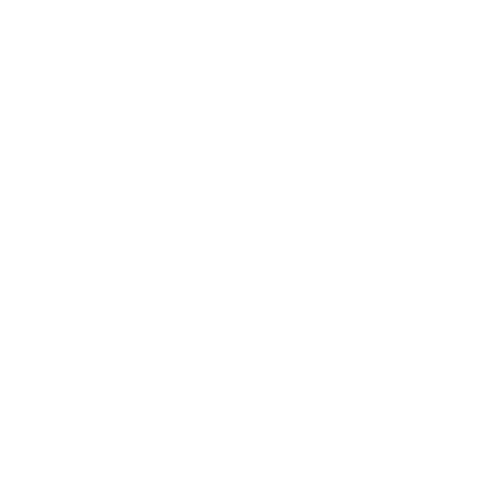 DL Fashion